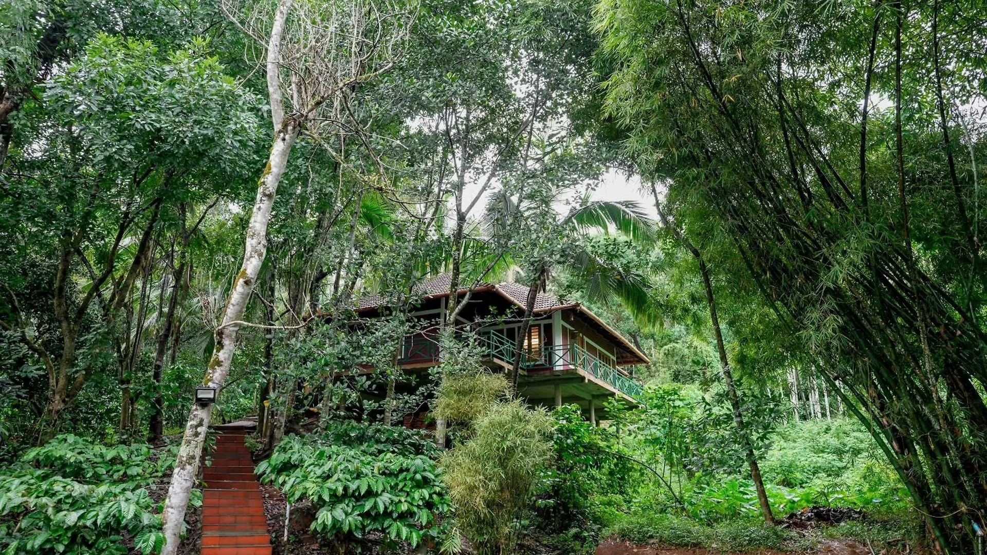 Coffee Land Retreat Otel Sultan Bathery Hindistan